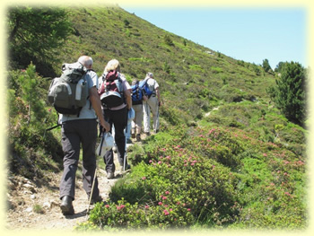Almrosenwanderung